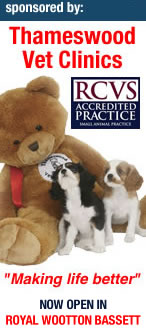 Thameswood Veterinary Clinics Ltd
